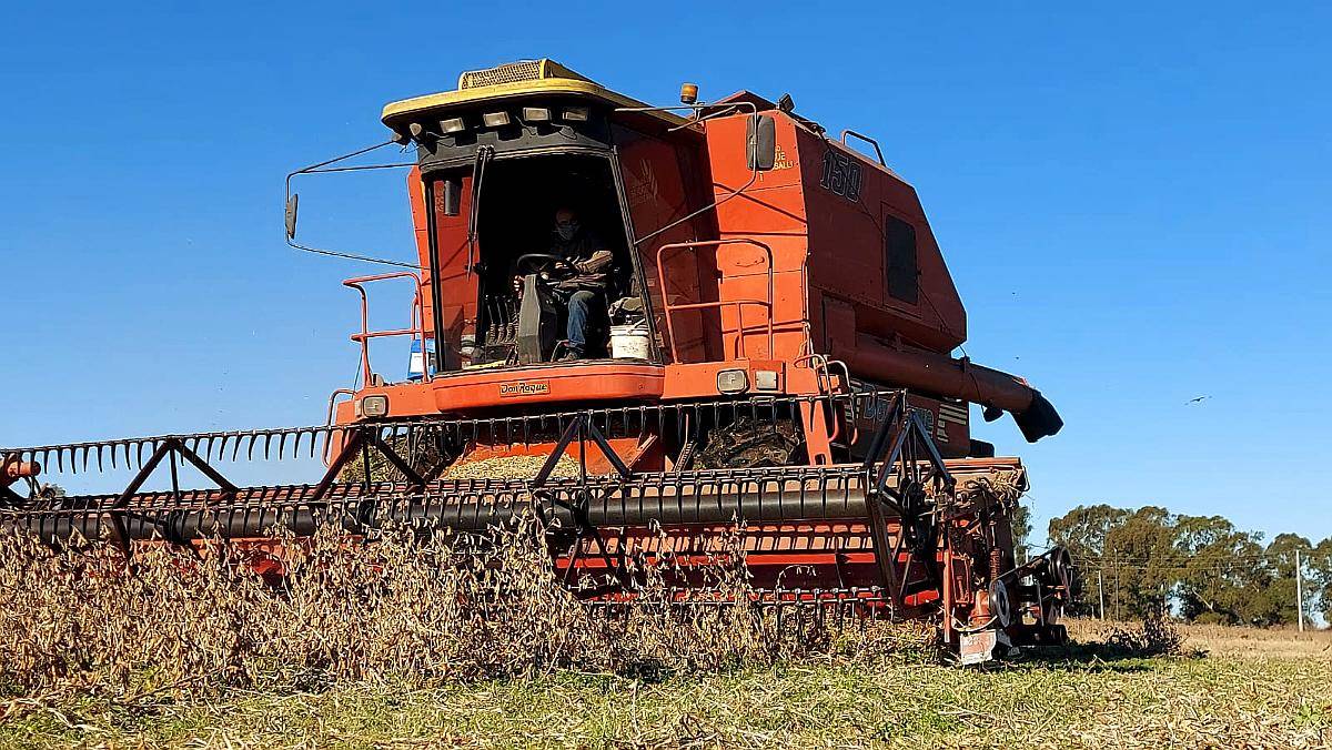 Don Roque 150-RV